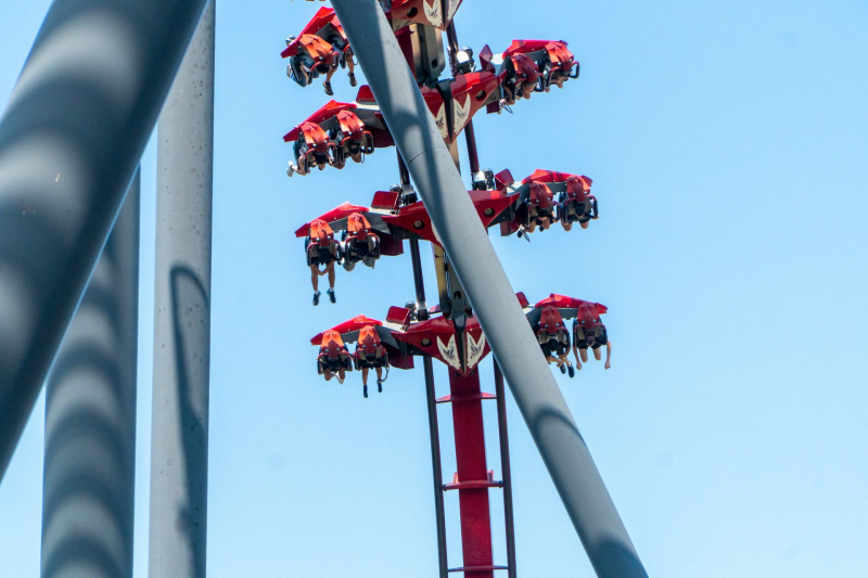 X-Flight