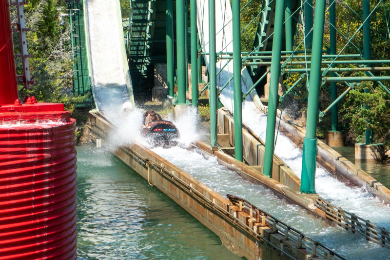 Logger's Run
