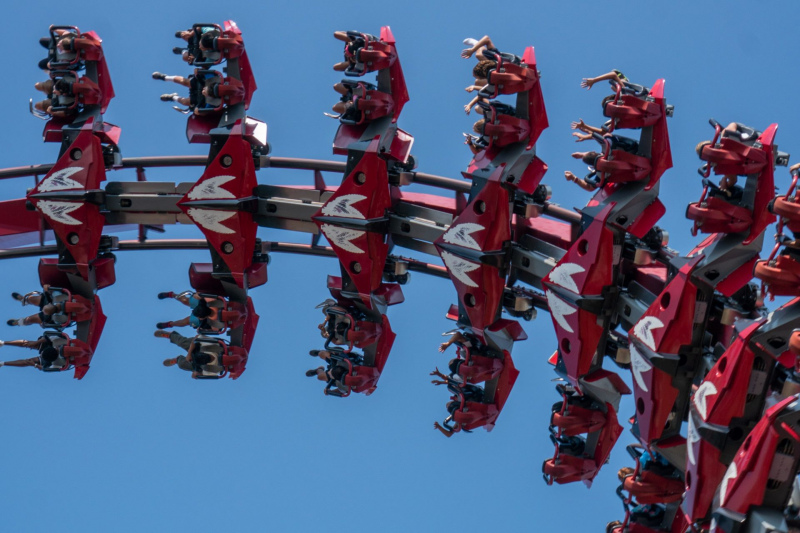 X-Flight