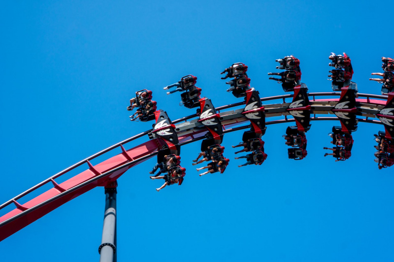 X-Flight