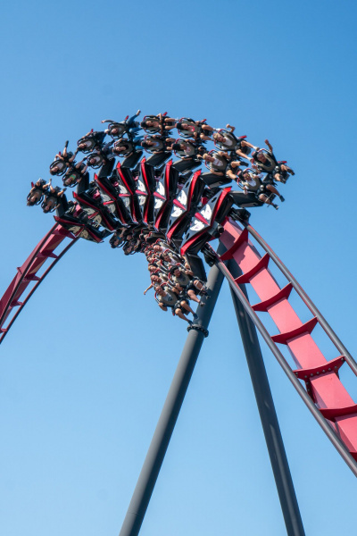X-Flight
