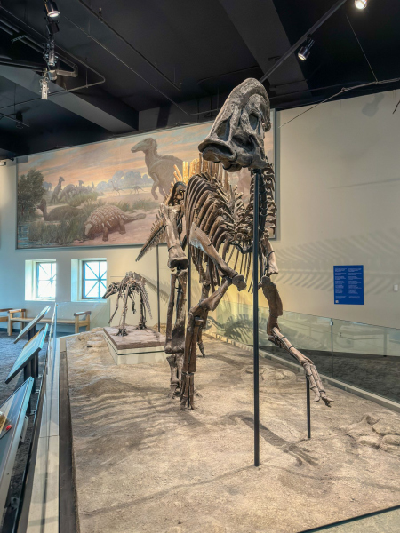 Field Museum of Natural History