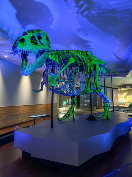 Field Museum of Natural History