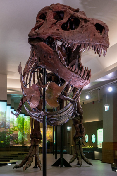 Field Museum of Natural History