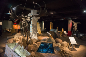 Archäologisches Museum Hamburg