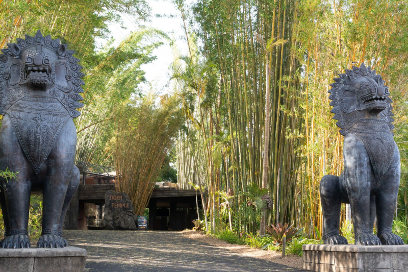 Tiger Temple