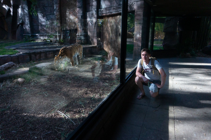 Tiger Temple