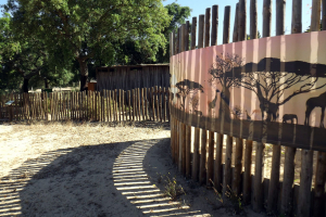 Badoca Safari Park