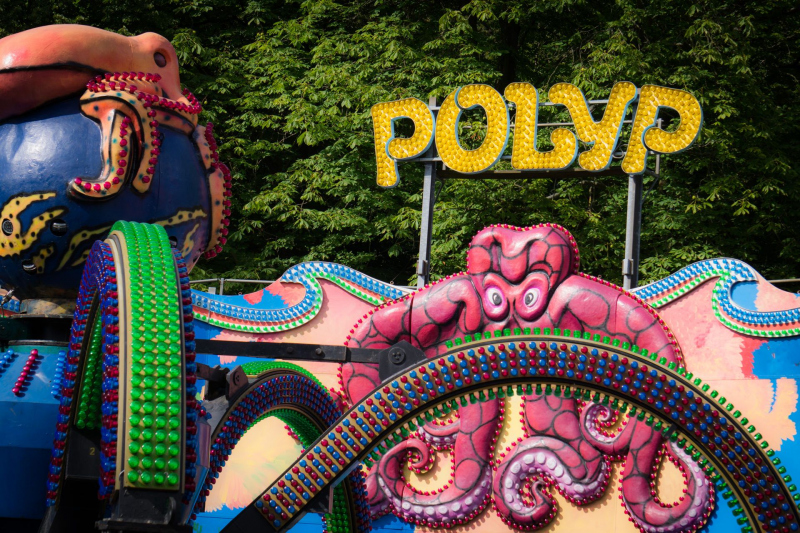 Polyp