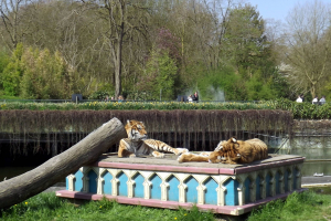 Animals at Bellewaerde / Tiere in Bellewaerde
