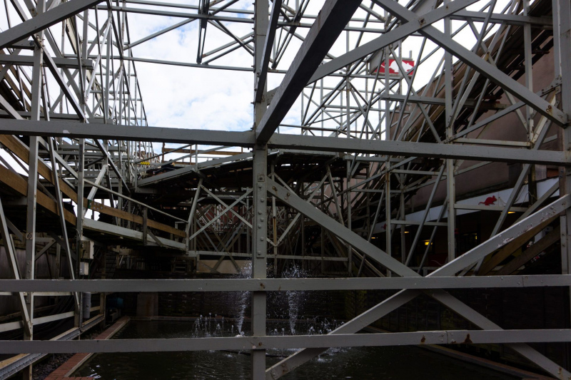 Wild Mouse