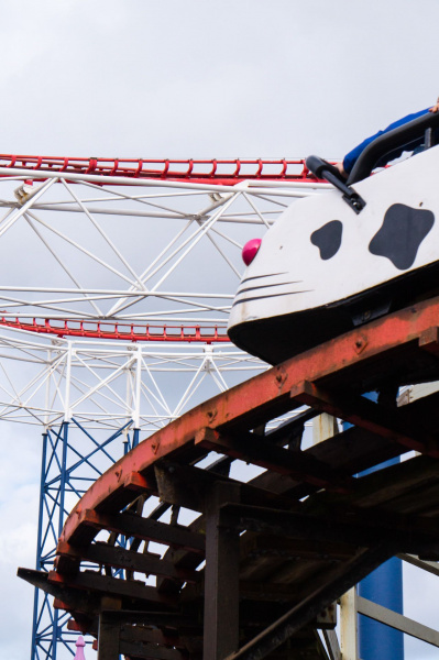 Wild Mouse