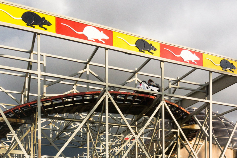 Wild Mouse