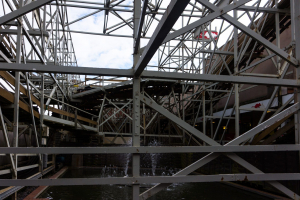 Wild Mouse