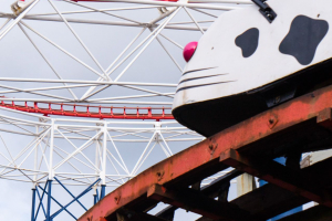 Wild Mouse