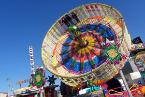 Round Up (Böseler) • De Boer Round-Up