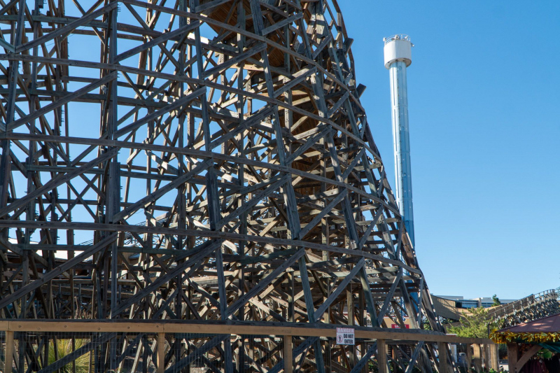 Gold Striker