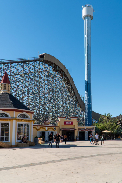 Gold Striker