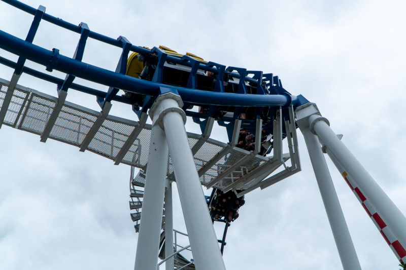 Flying Cobras