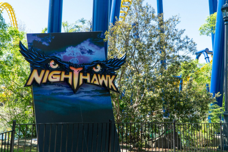 Nighthawk