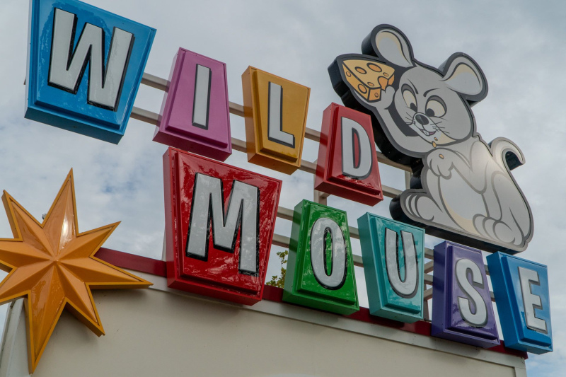 Wild Mouse