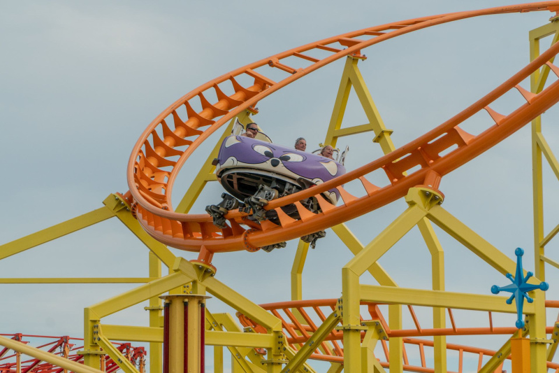 Wild Mouse