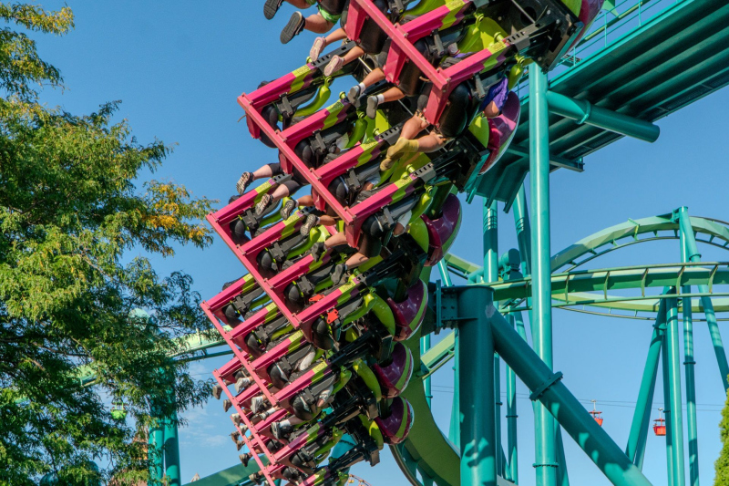 Raptor
