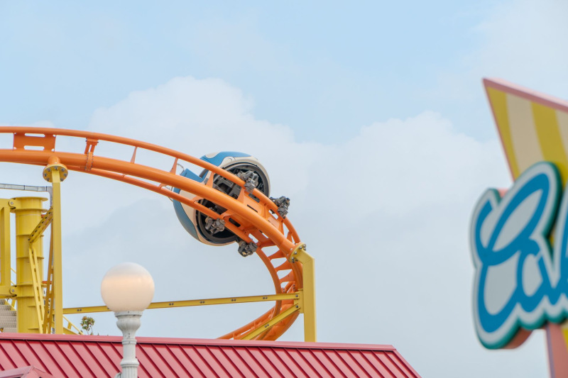 Wild Mouse