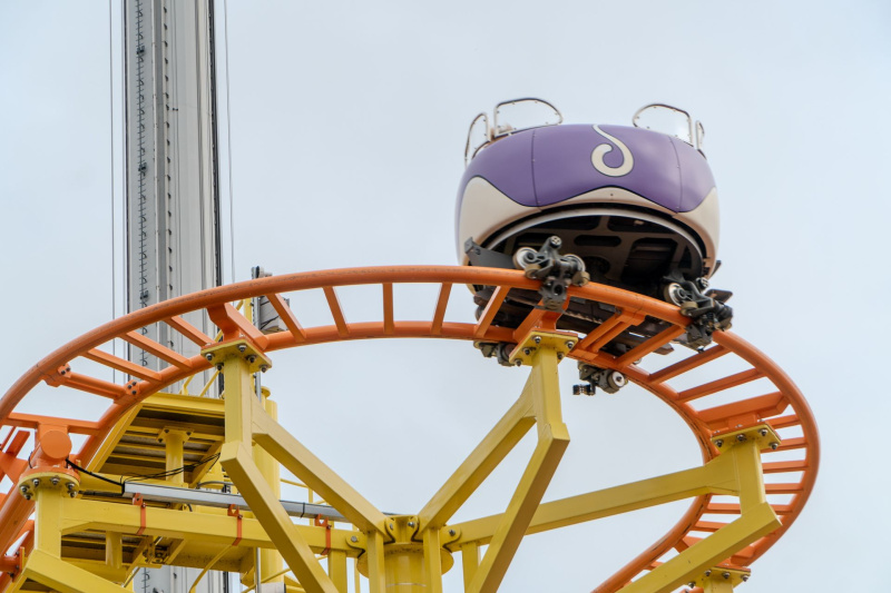 Wild Mouse