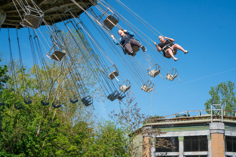 Monkey Swinger
