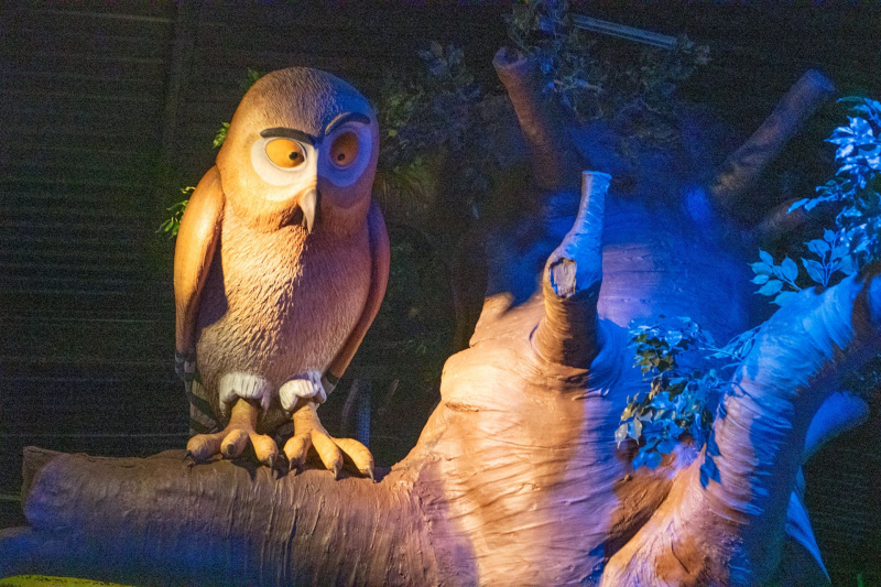 Gruffalo River Ride Adventure