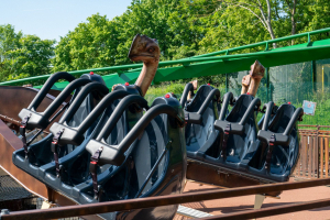Ostrich Stampede