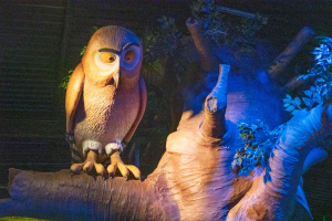 Gruffalo River Ride Adventure