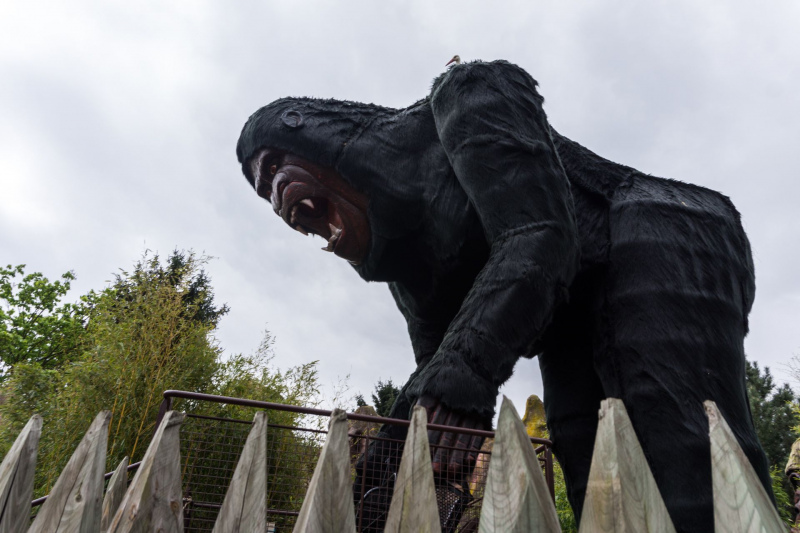 King Kong