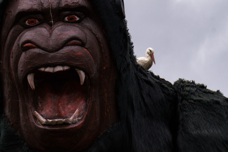 King Kong
