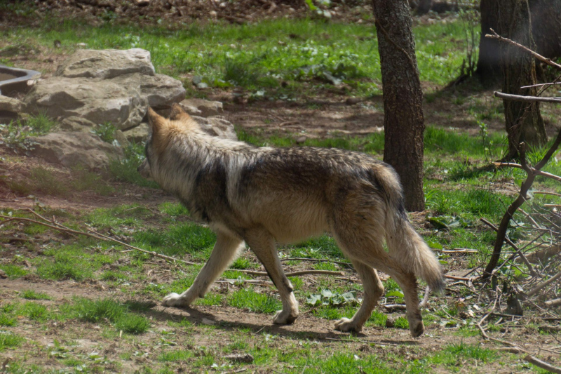 Columbus Zoo and Aquarium