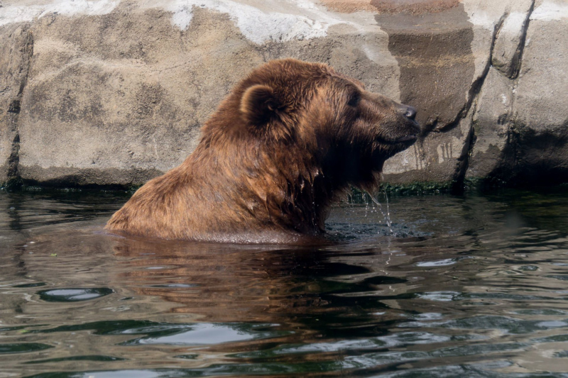 Columbus Zoo and Aquarium