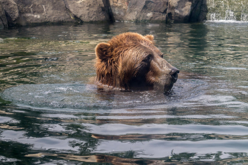 Columbus Zoo and Aquarium