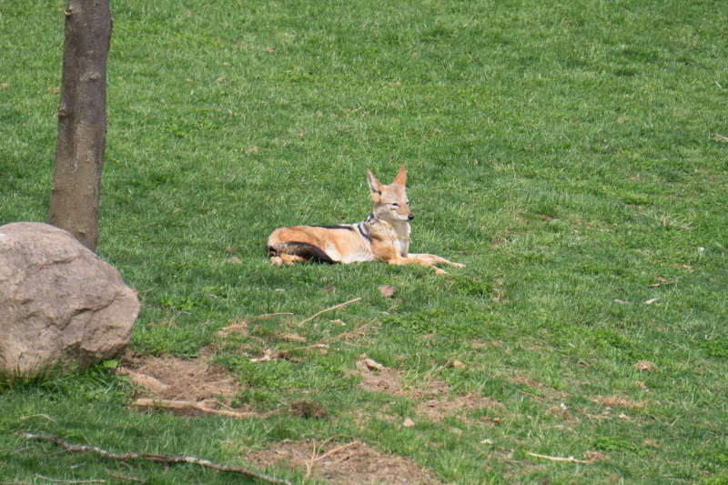 Columbus Zoo and Aquarium