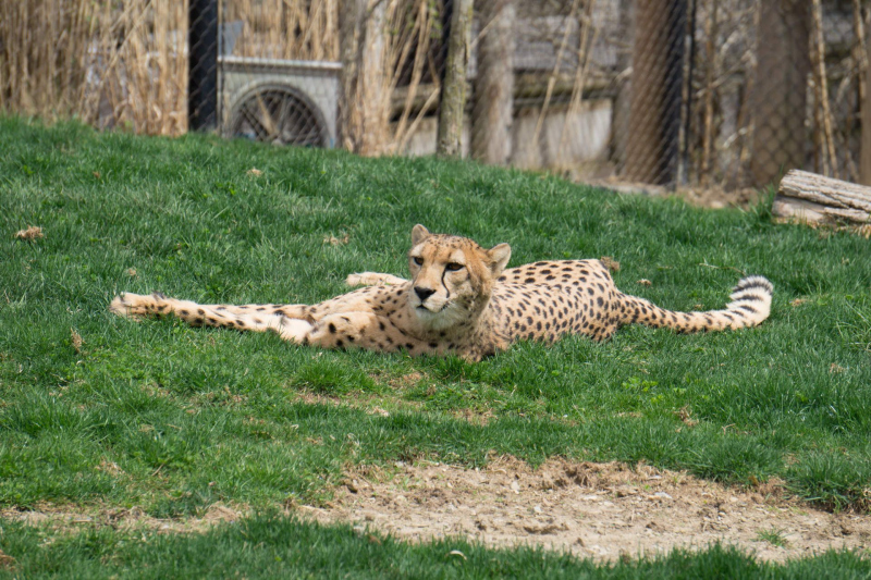 Columbus Zoo and Aquarium