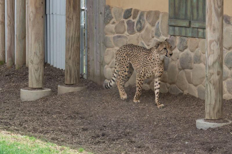 Columbus Zoo and Aquarium