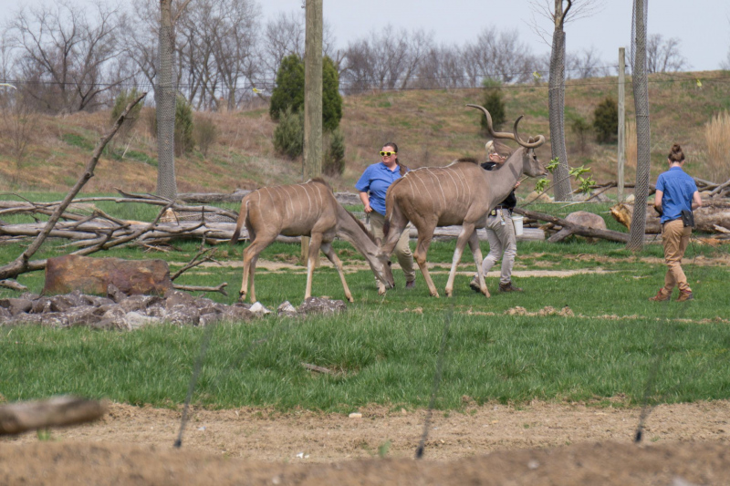 Columbus Zoo and Aquarium