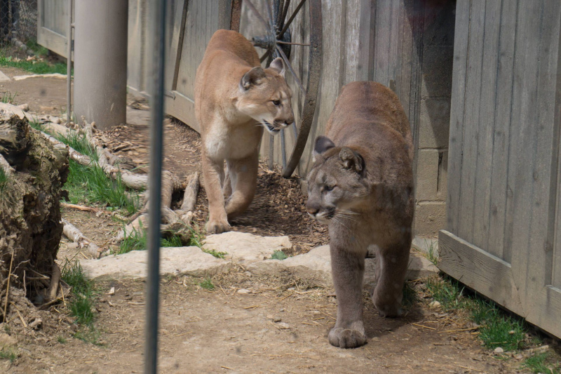 Columbus Zoo and Aquarium