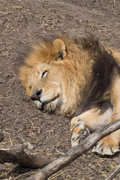 Columbus Zoo and Aquarium