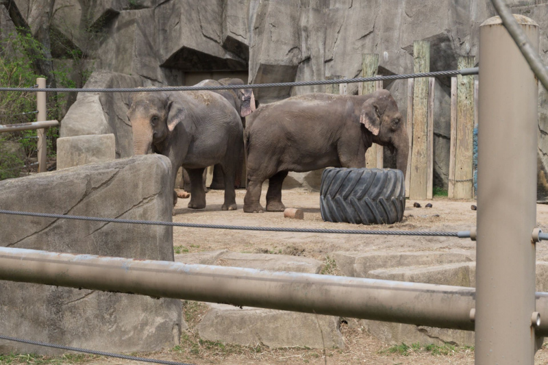 Columbus Zoo and Aquarium