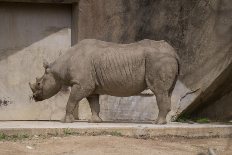 Columbus Zoo and Aquarium