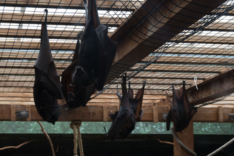 Columbus Zoo and Aquarium