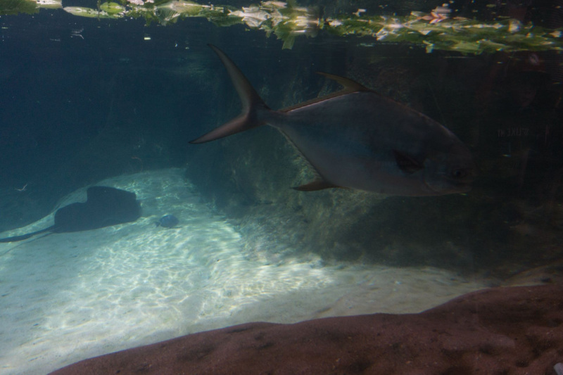 Columbus Zoo and Aquarium