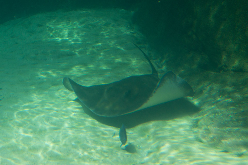 Columbus Zoo and Aquarium