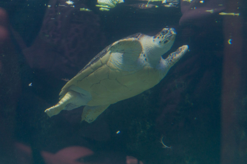 Columbus Zoo and Aquarium